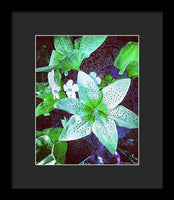 Light Beaming Green Flowers - Framed Print