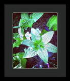 Light Beaming Green Flowers - Framed Print