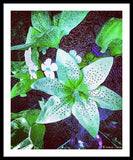 Light Beaming Green Flowers - Framed Print