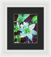 Light Beaming Green Flowers - Framed Print