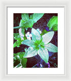 Light Beaming Green Flowers - Framed Print