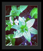 Light Beaming Green Flowers - Framed Print