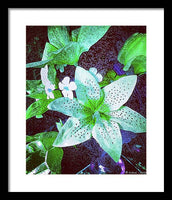 Light Beaming Green Flowers - Framed Print