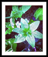 Light Beaming Green Flowers - Framed Print