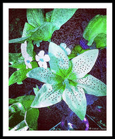 Light Beaming Green Flowers - Framed Print