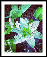 Light Beaming Green Flowers - Framed Print